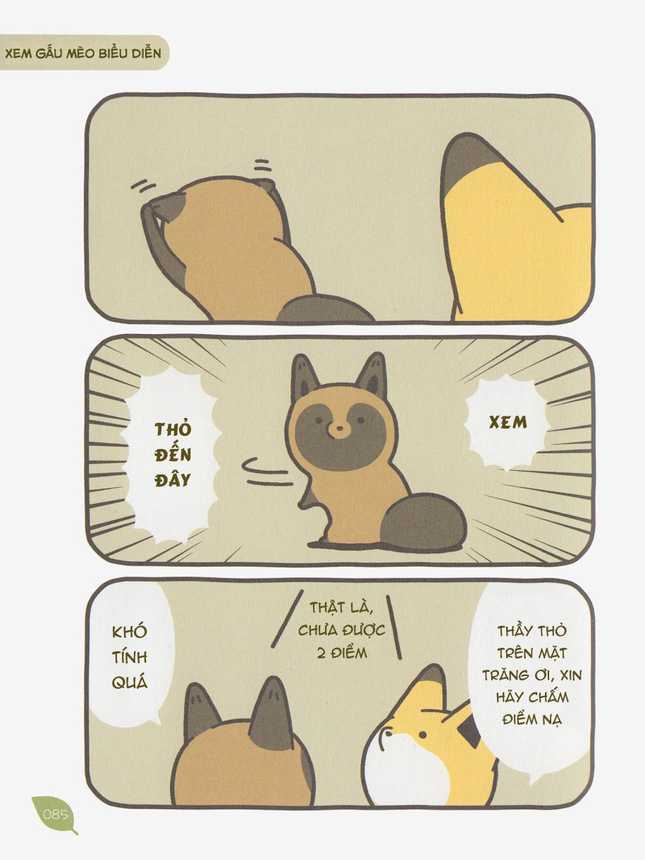 cáo và gấu mèo chapter 6 6