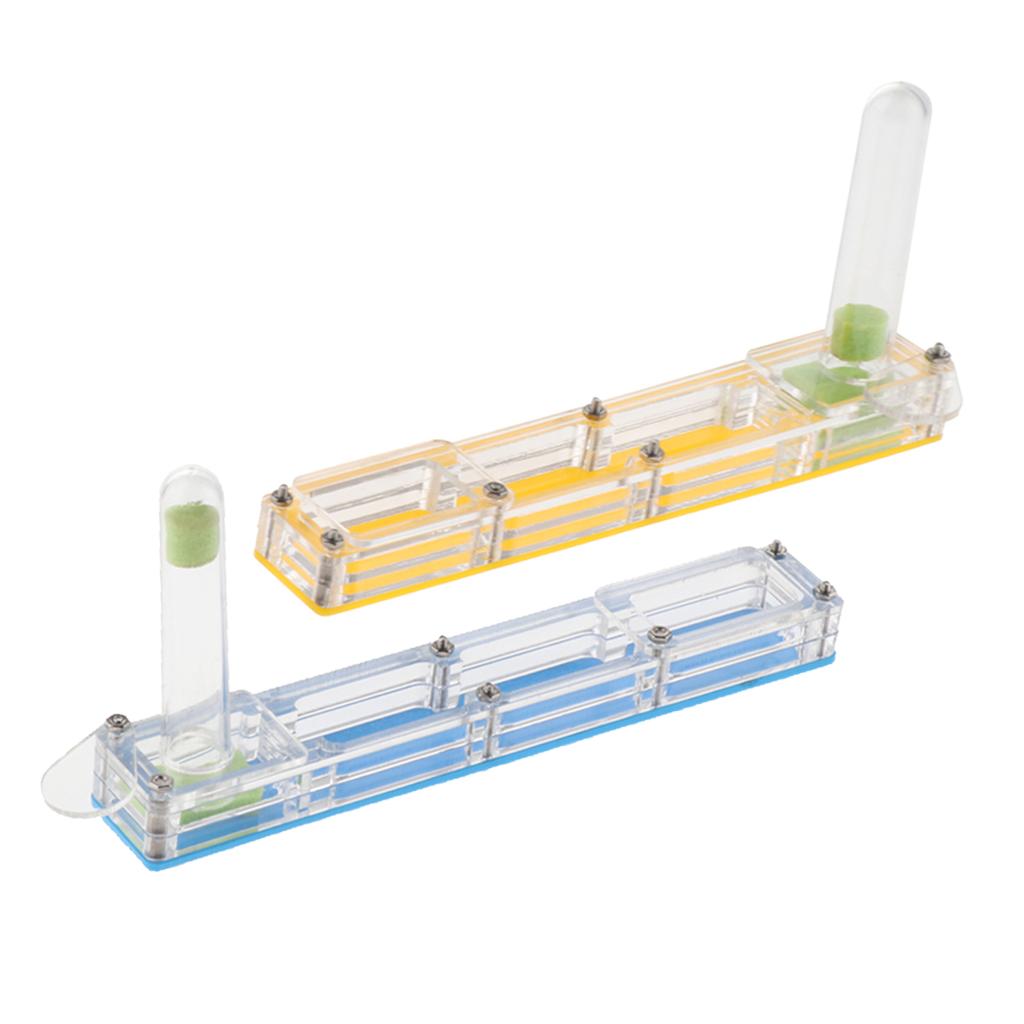 Ant Housing Box Experiment Toy Farm Insect Terrarium Pet Toys Fun Gift Clear