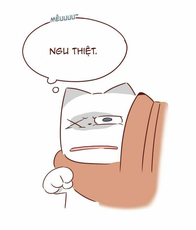 saphie: chú mèo một mắt chapter 29 18