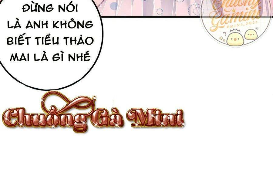 Bảo Bối Tâm Gan Của Lão Đại Xuyên Không Trở Lại Rồi Chapter 77 - Trang 2