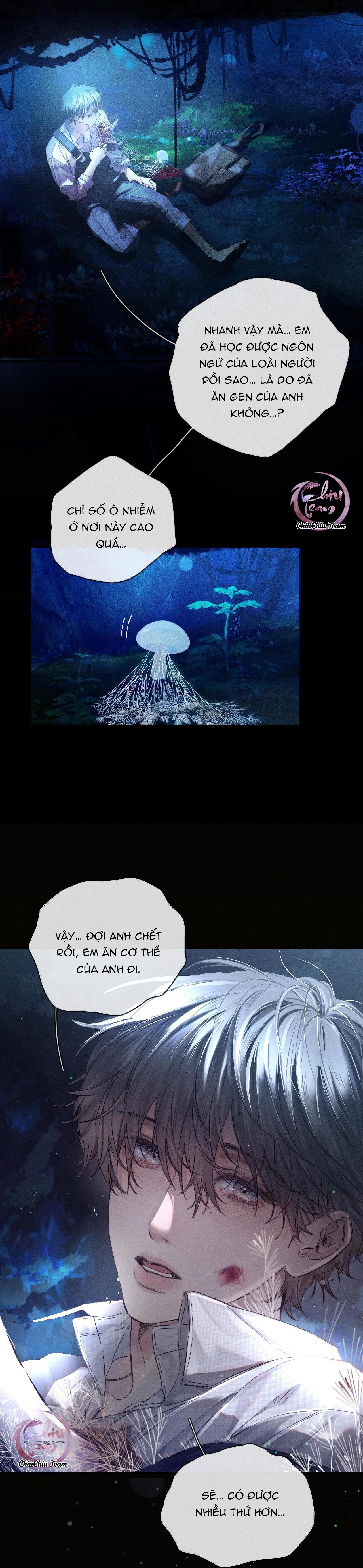 cây nấm nhỏ chapter 1.2 4