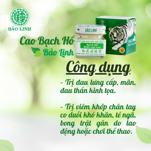 Combo 2 Cao Xoa Bóp Bạch Hổ Hoạt Lạc Cao BẢO LINH 20gram