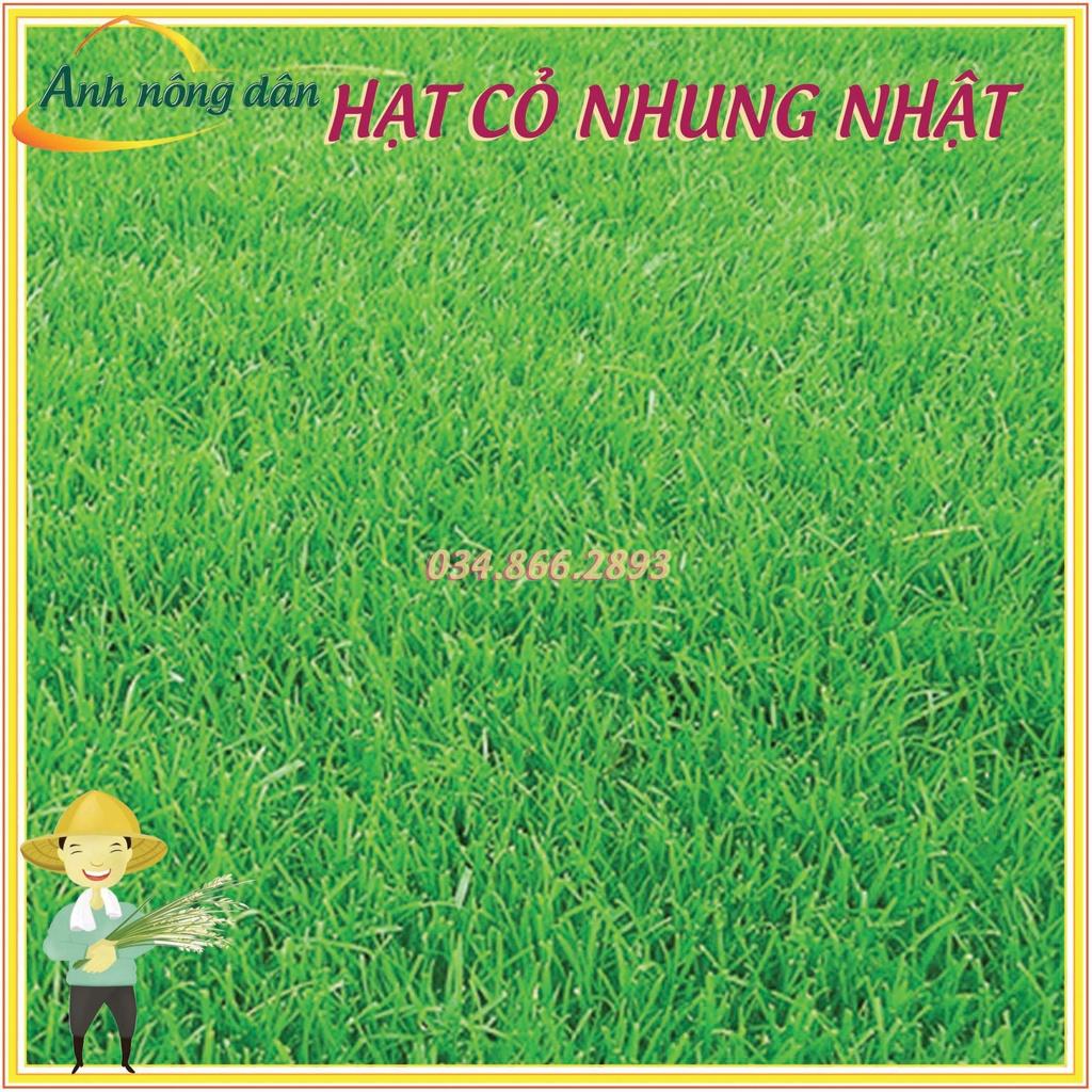 Gói 50g Hạt giống cỏ thảm Nhung nhật - cỏ sân vườn, công trình - Anh nông dân chính hiệu