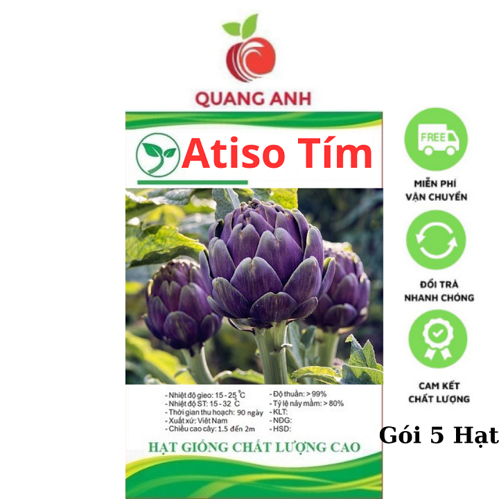 Hạt Giống Atiso Tím - Cây Atiso Tím 4 Mùa - Gói 5 Hạt