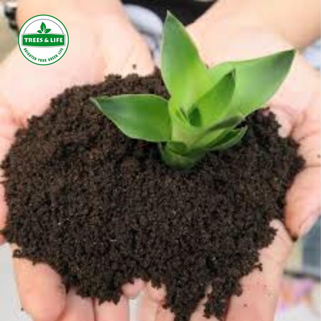 Chậu nhựa cao cấp trồng cây, hoa - Giá rẻ - Cao 55cm, Rộng 32 cm. Bền 8-10 năm.Tặng kèm 1Kg phân trùn quế khi mua