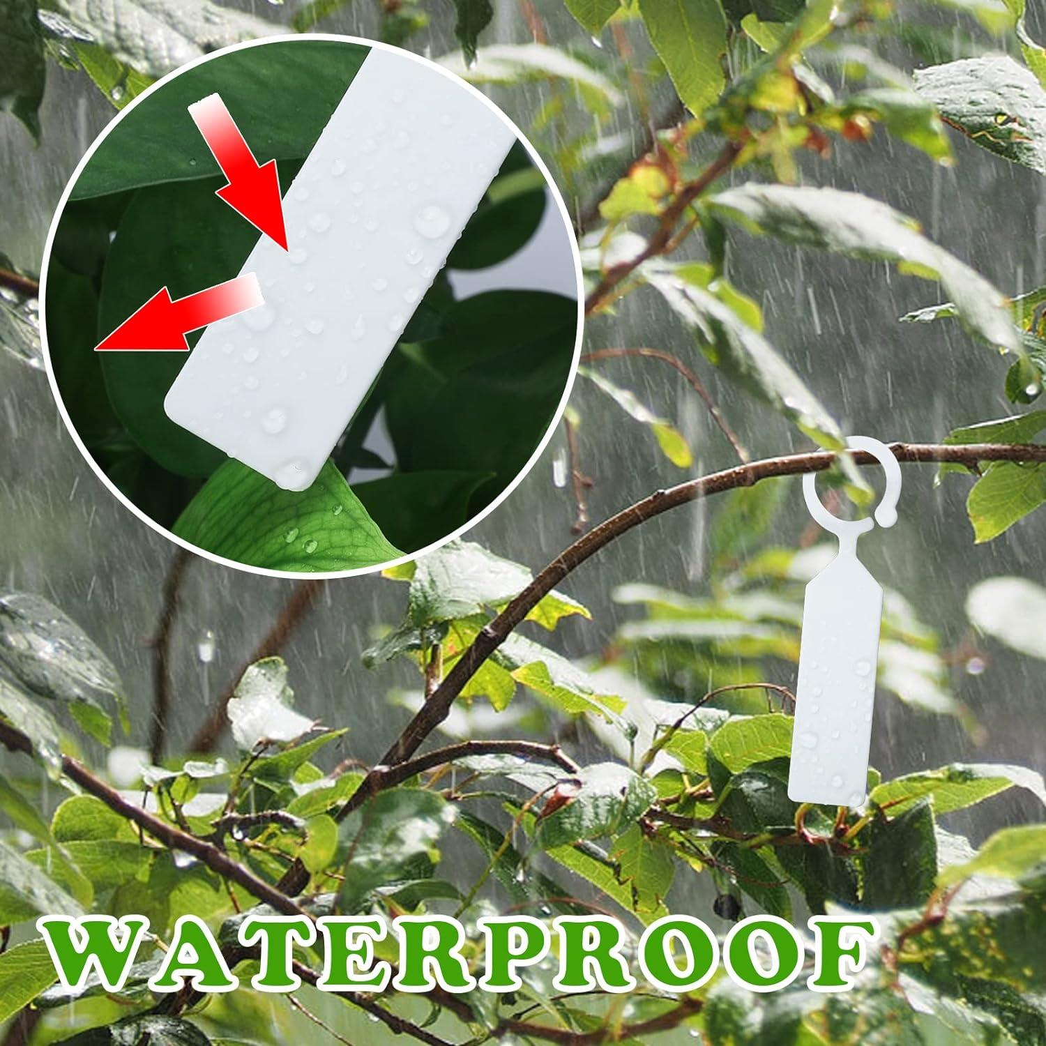 100 pcs cây cây dày nhãn nhựa treo nhãn vườn cho người làm vườn trắng