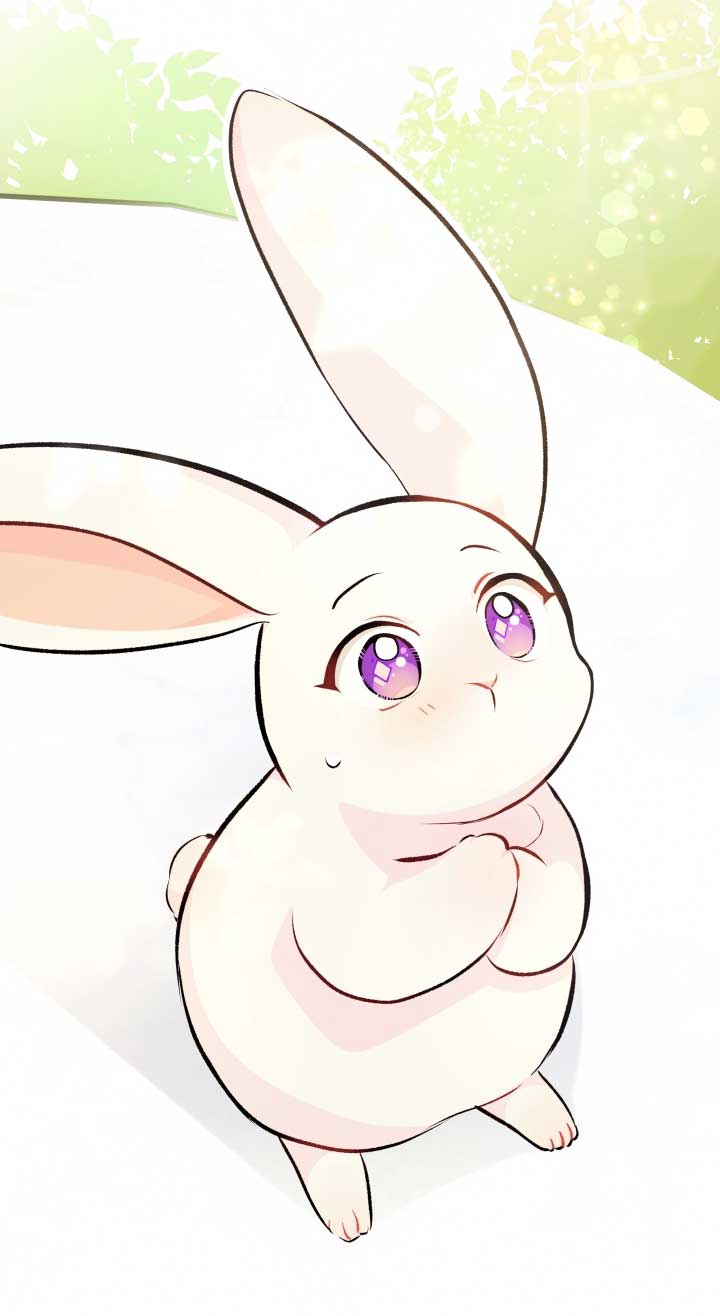 mối liên kết giữa báo đen và bé thỏ chapter 6 22