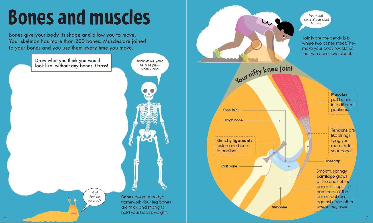 Book & Jigsaw - Fun Facts - The Human Body