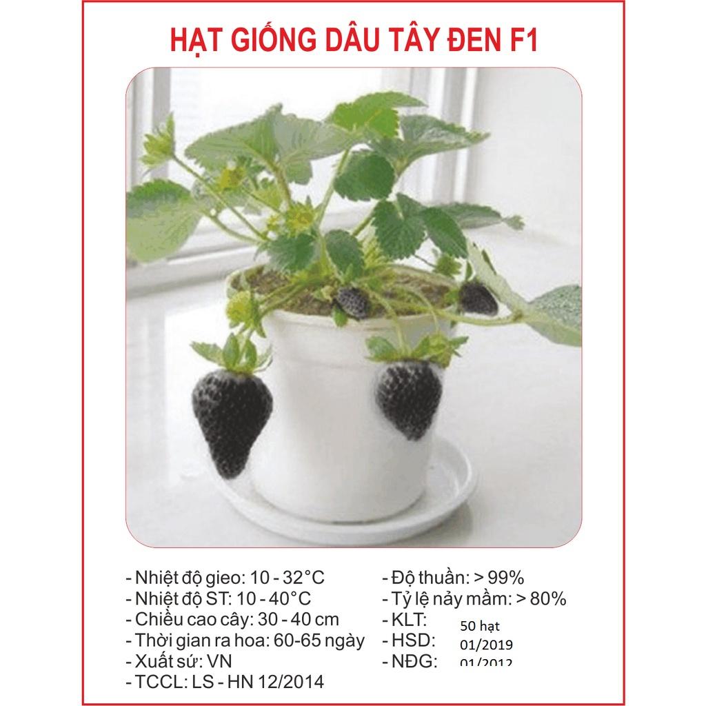 Hạt giống dâu tây đen chịu nhiệt CT290 - Gói 100 hạt