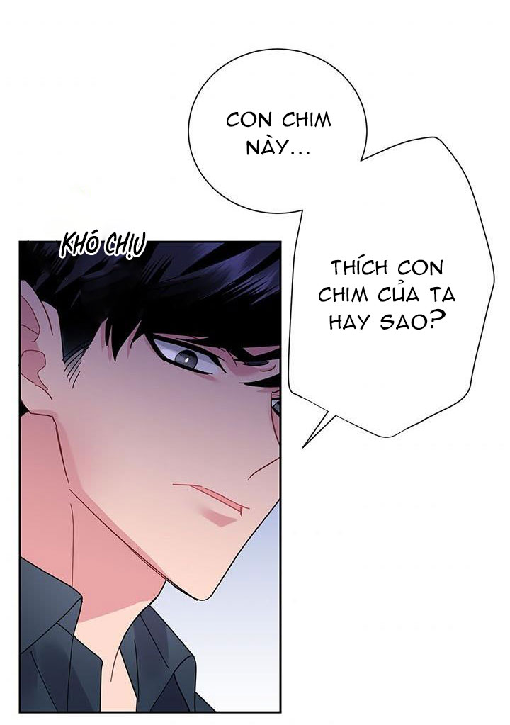 công chúa của loài chim chapter 25 3