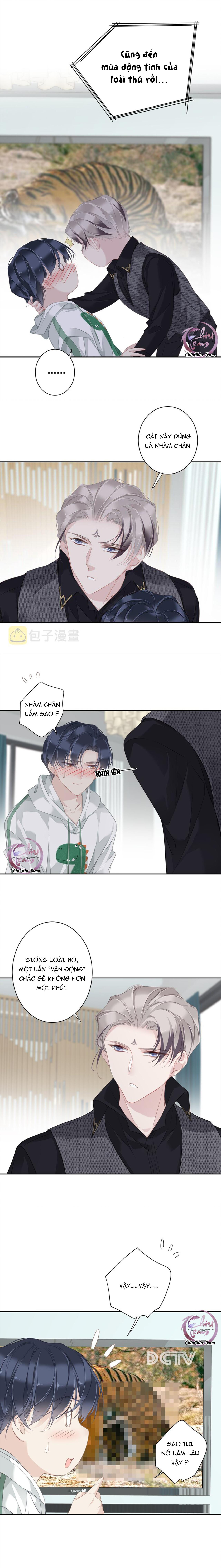 cuộc mai mối vượt giống loài chapter 40 7