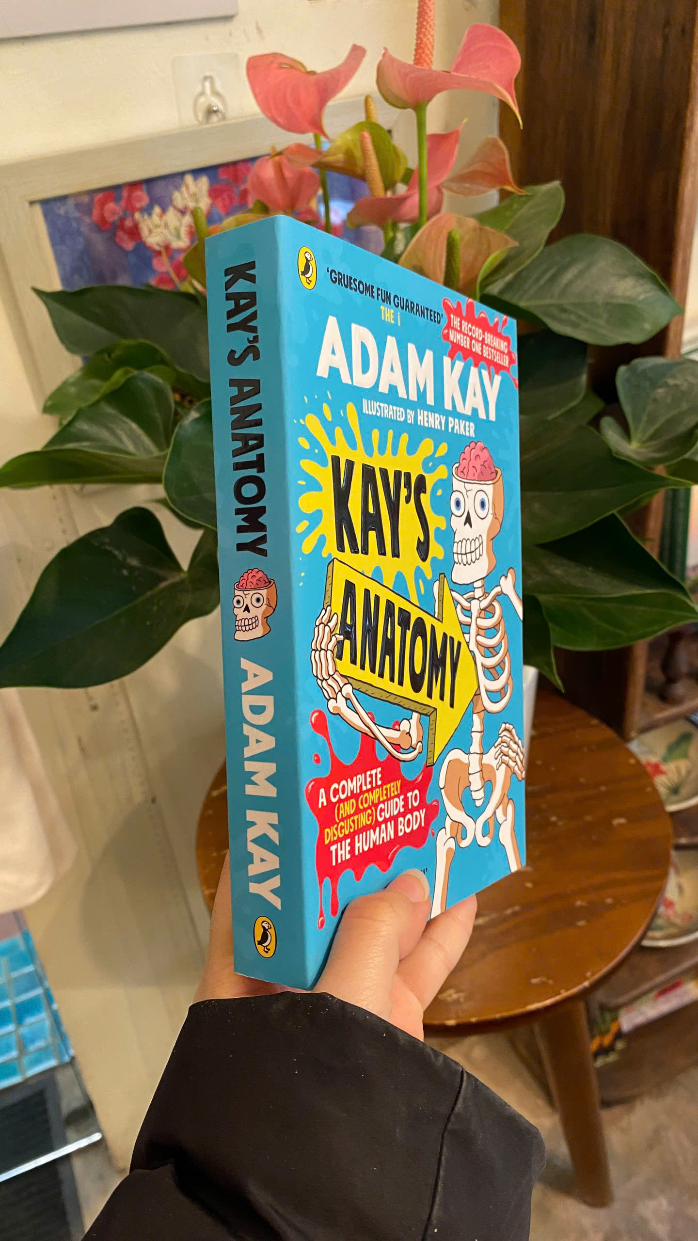Sách - Kay's Anatomy by Adam Kay | Science Children’s Book / Ngoại văn Thiếu nhi Nhập khẩu