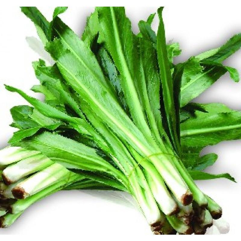 Hạt giống rau ngò gai , đóng gói 5gr