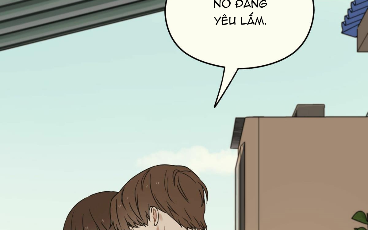 tương phùng chapter 15 310