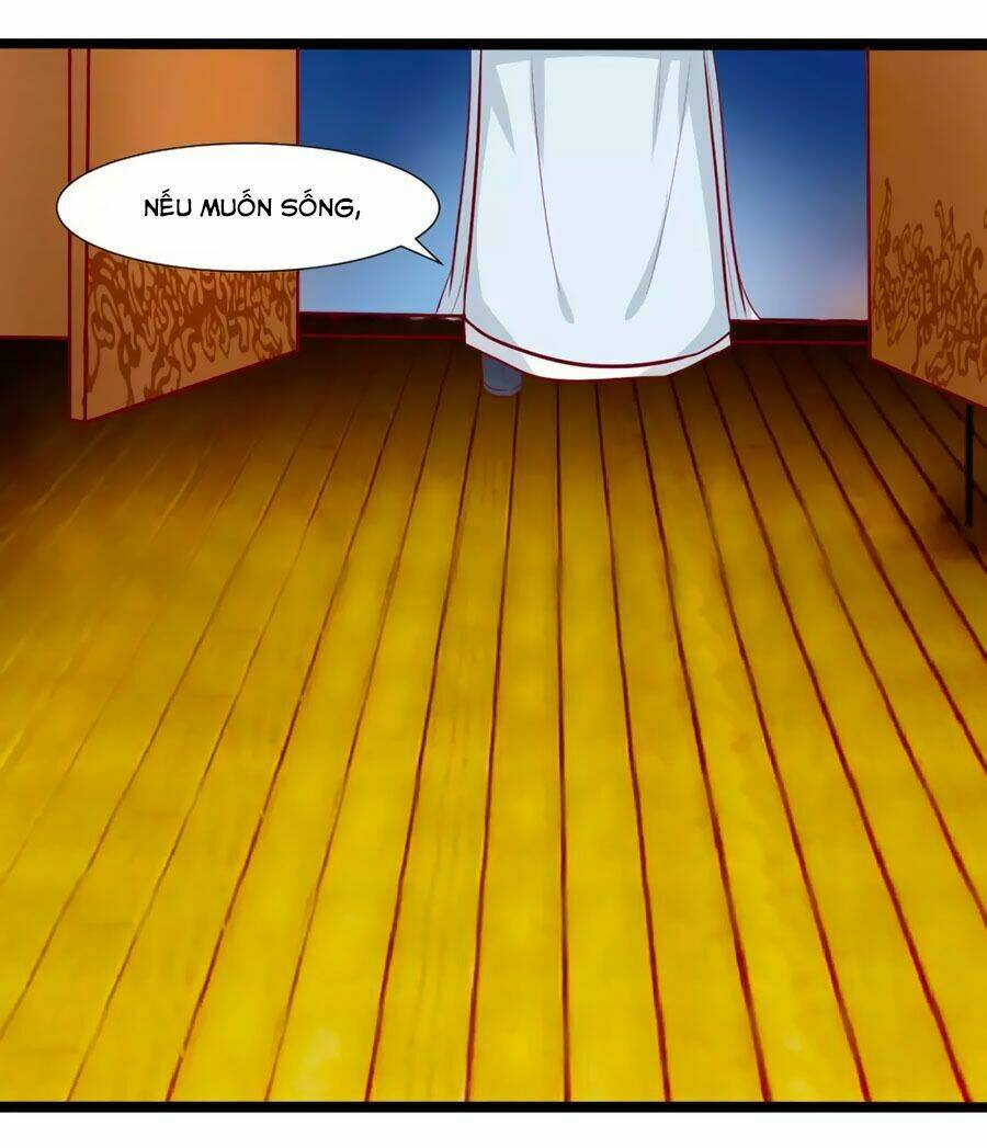 thỏ yêu tiểu vương phi chapter 56 35