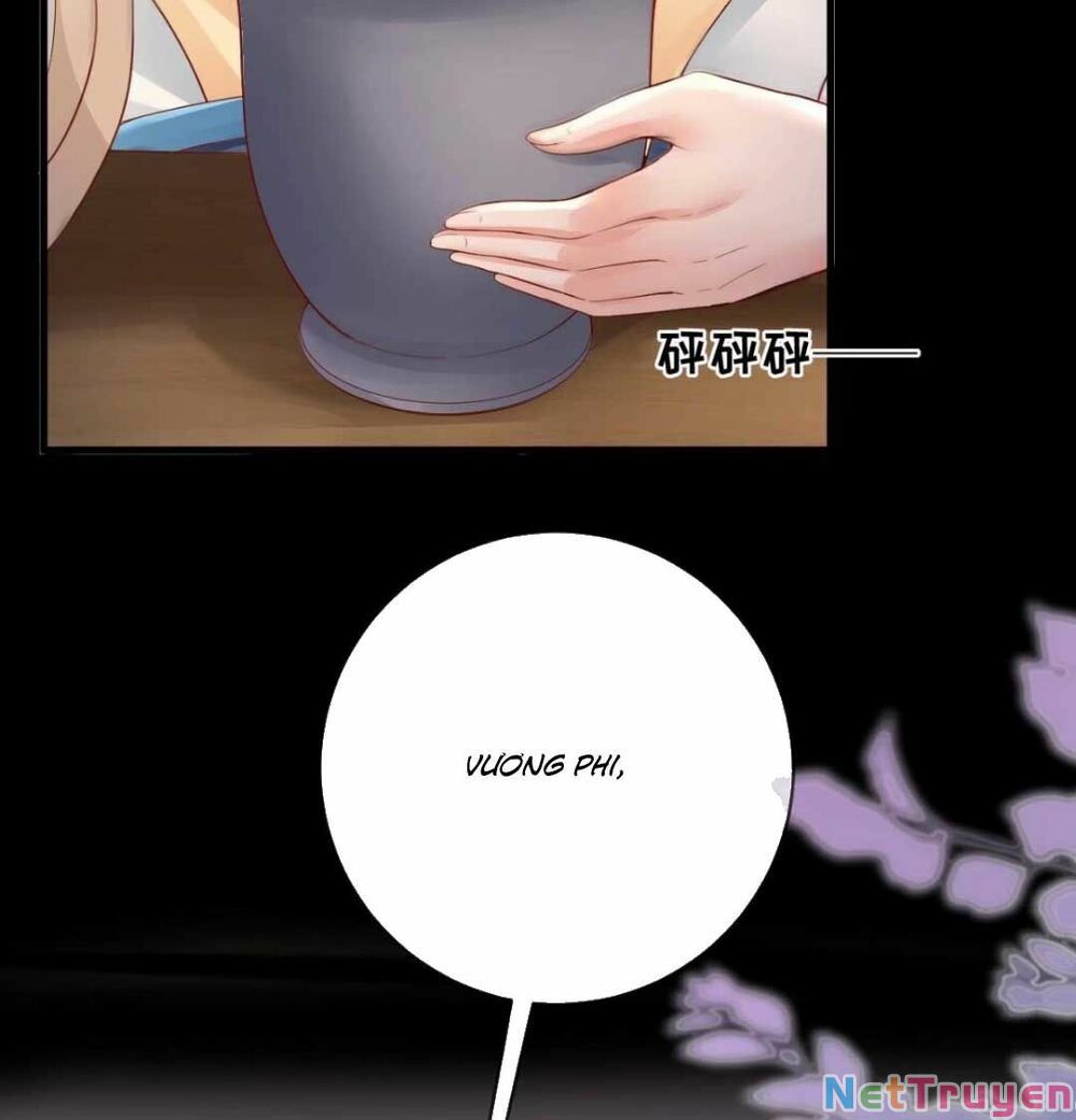 sự trả thù của vương phi chapter 11 6