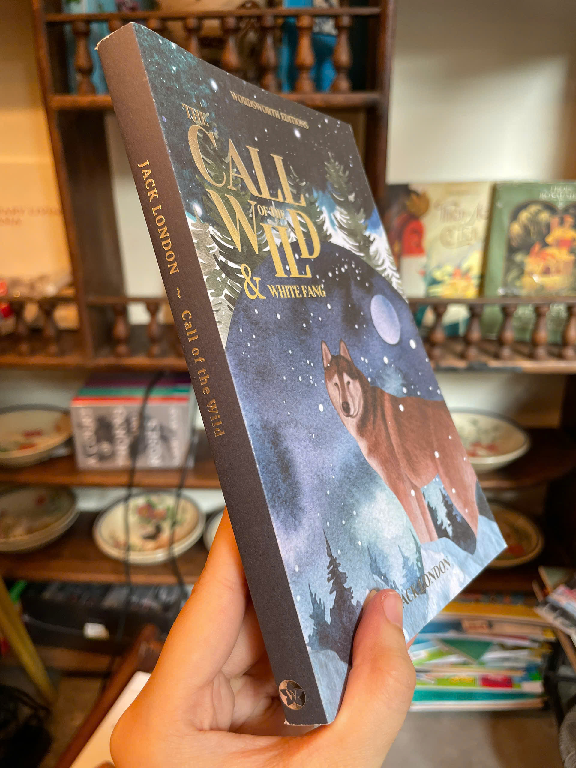Sách - The Call of the Wild &amp; White Fang by Jack London | Classic Novel / Ngoại văn Kinh điển