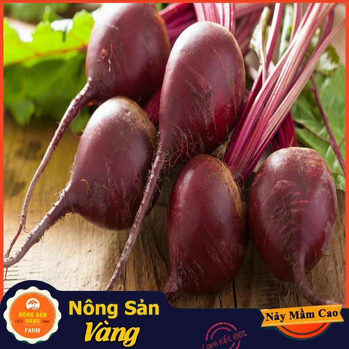 Hạt giống Củ Dền Đỏ ( Gói 2 Gram )