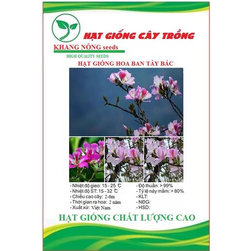 Hạt giống cây hoa ban tím tây bắc - Gói 10 hạt