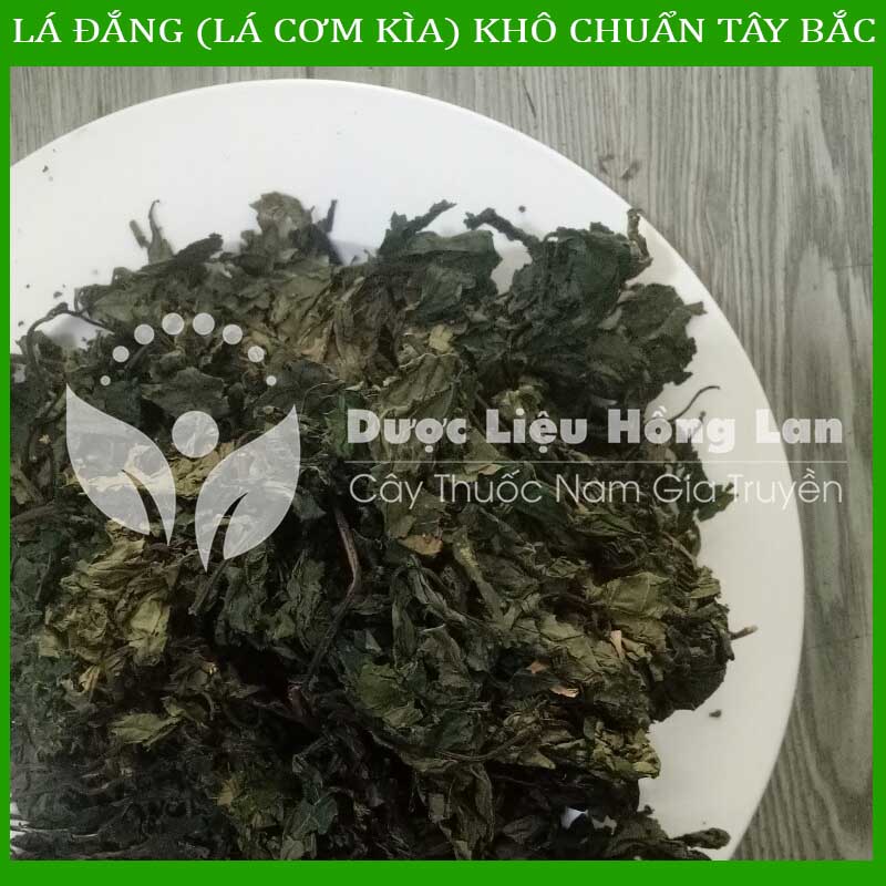 [Thượng hạng] 1KG Lá Đắng (Lá Cơm Kìa) khô chuẩn rừng Tây Bắc