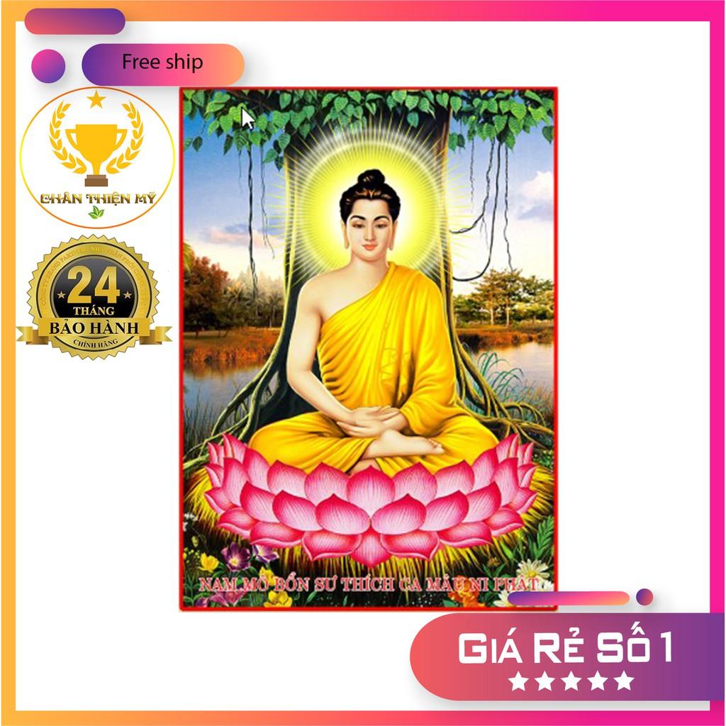 Tranh Điện Phật Thích Ca PL2