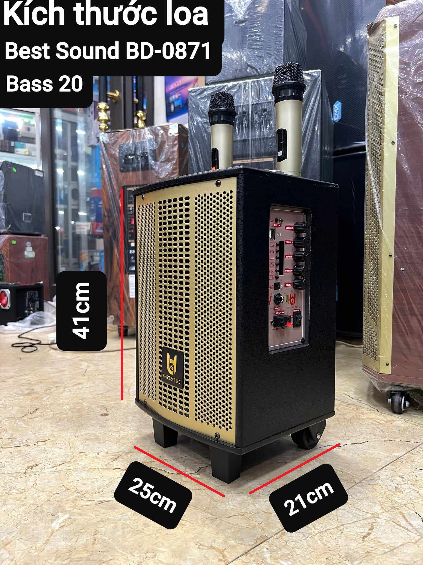 Loa kéo Karaoke Bluetooth Best Sound BD-0871: Bass 20, Có 2 Micro không dây đi kèm