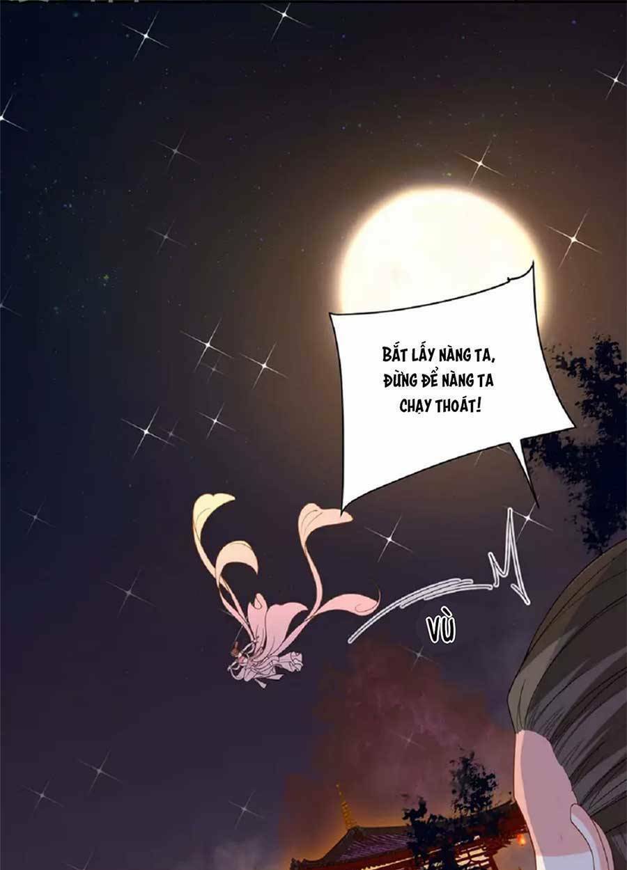 tướng quân, bổn phi không nhận sủng chapter 44 13