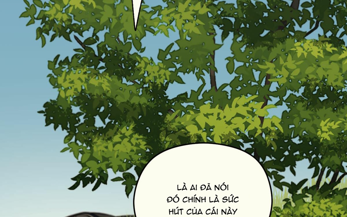 tương phùng chapter 10 143