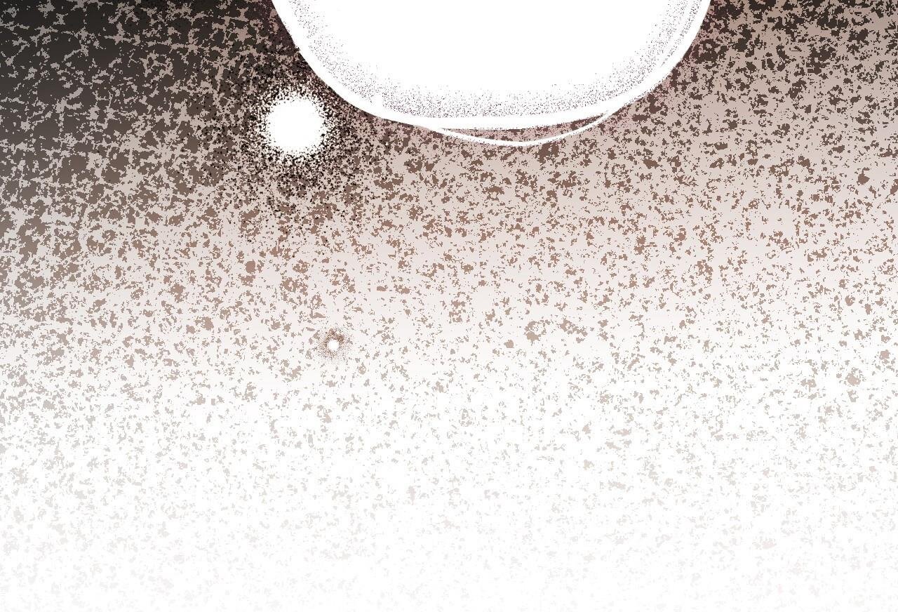 những chú thỏ của hapypy chapter 61 212