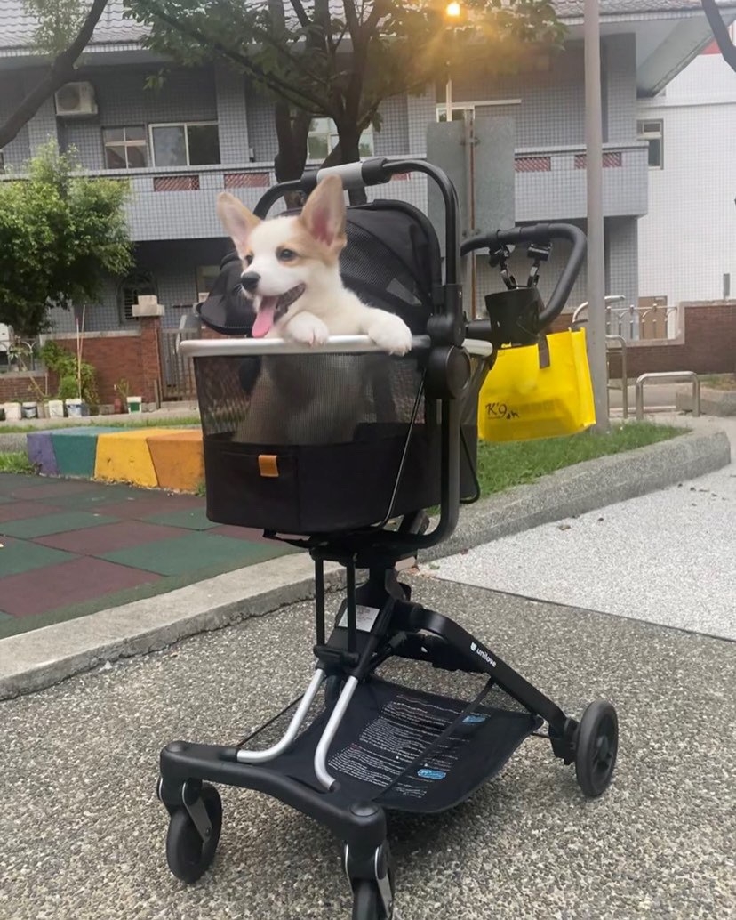 Unilove Bộ chuyển đổi lồng đựng thú cưng xe đẩy On The Go