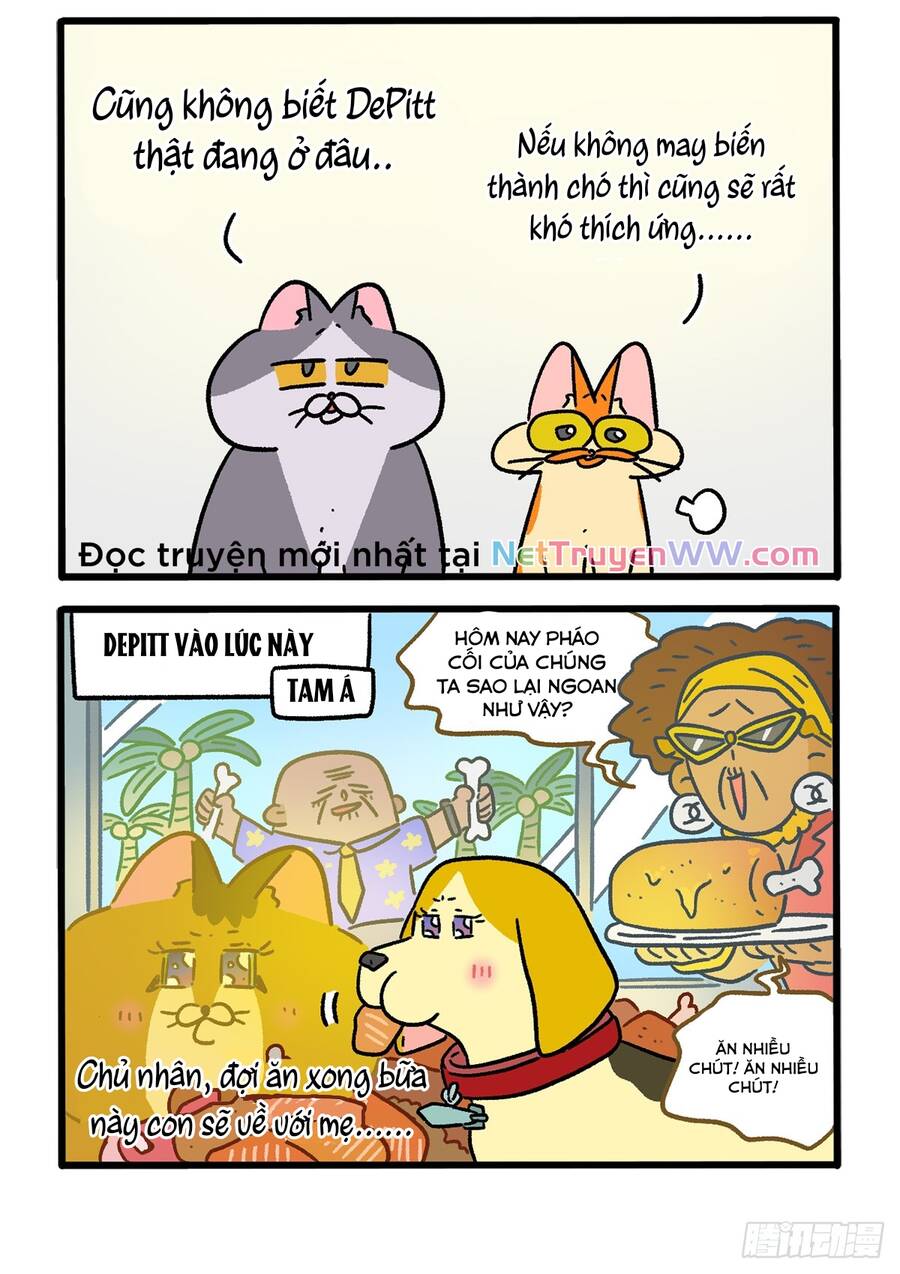 a mãn và mạch trà chapter 152.1 4