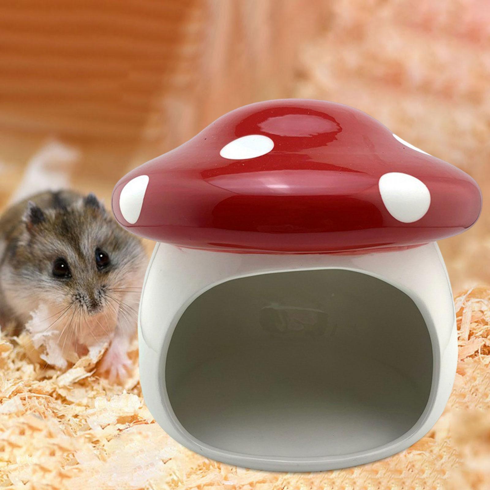 Hamster Houses Hideouts Chinchillas Mushroom Ceramic Hamster Habitat Hideout