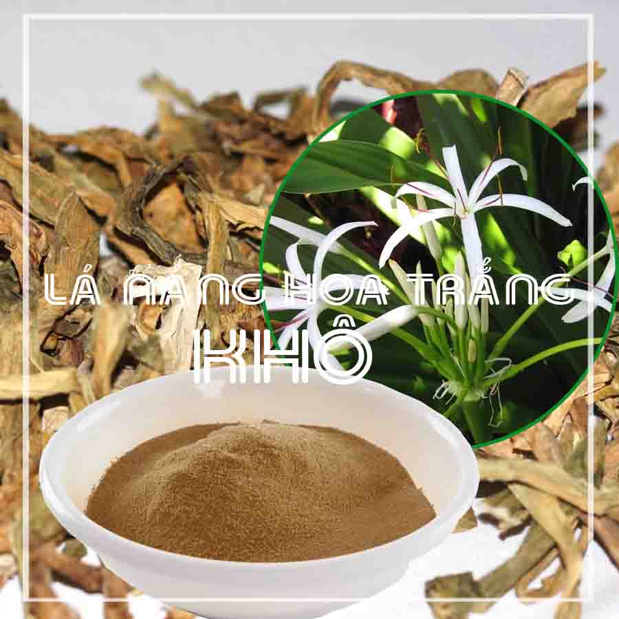 Lá náng hoa trắng khô sạch đóng gói 500gram