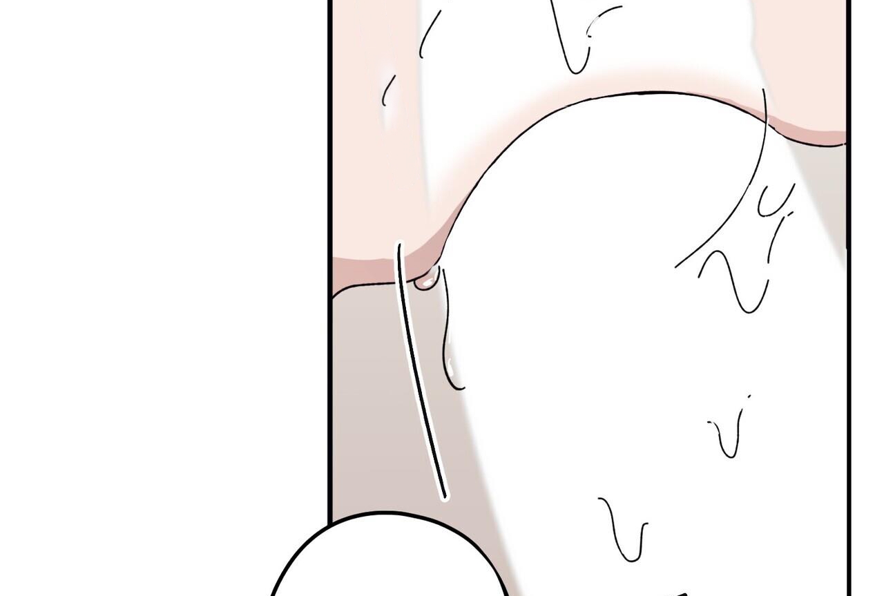 chàng dâu nhà họ kang chapter 45 144