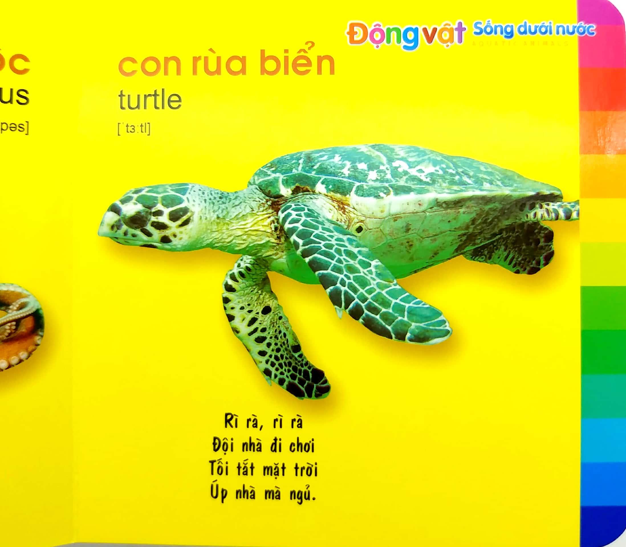 Bé Khám Phá Môi Trường Xung Quanh - Động Vật Sống Dưới Nước