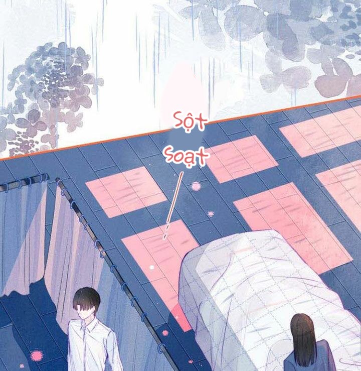 nỗi buồn của hoa cẩm tú cầu chapter 15 2