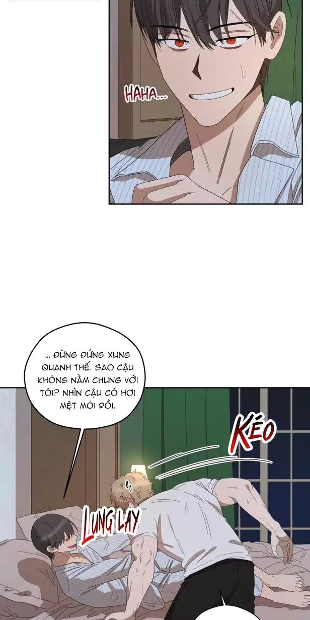 liveta chapter 40 35