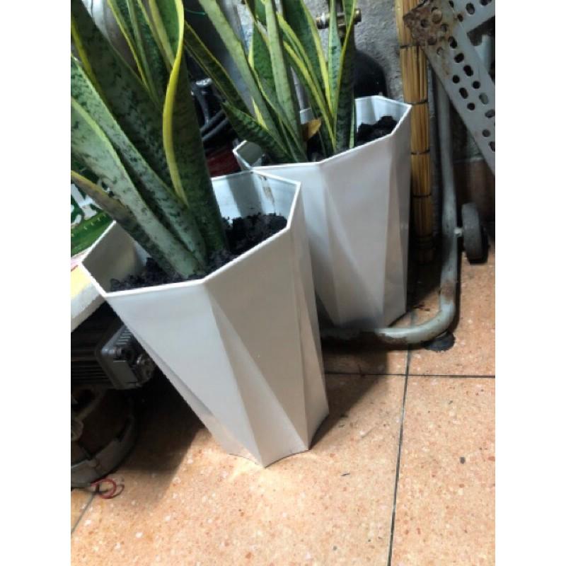 Chậu Bát Giác Trắng, Chậu 8 Cạnh - Chậu Kim Cương - Đĩa Lót Chậu