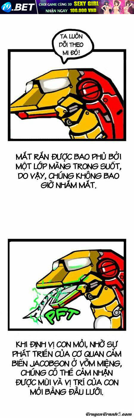 earth, human, and animal chapter 4 13