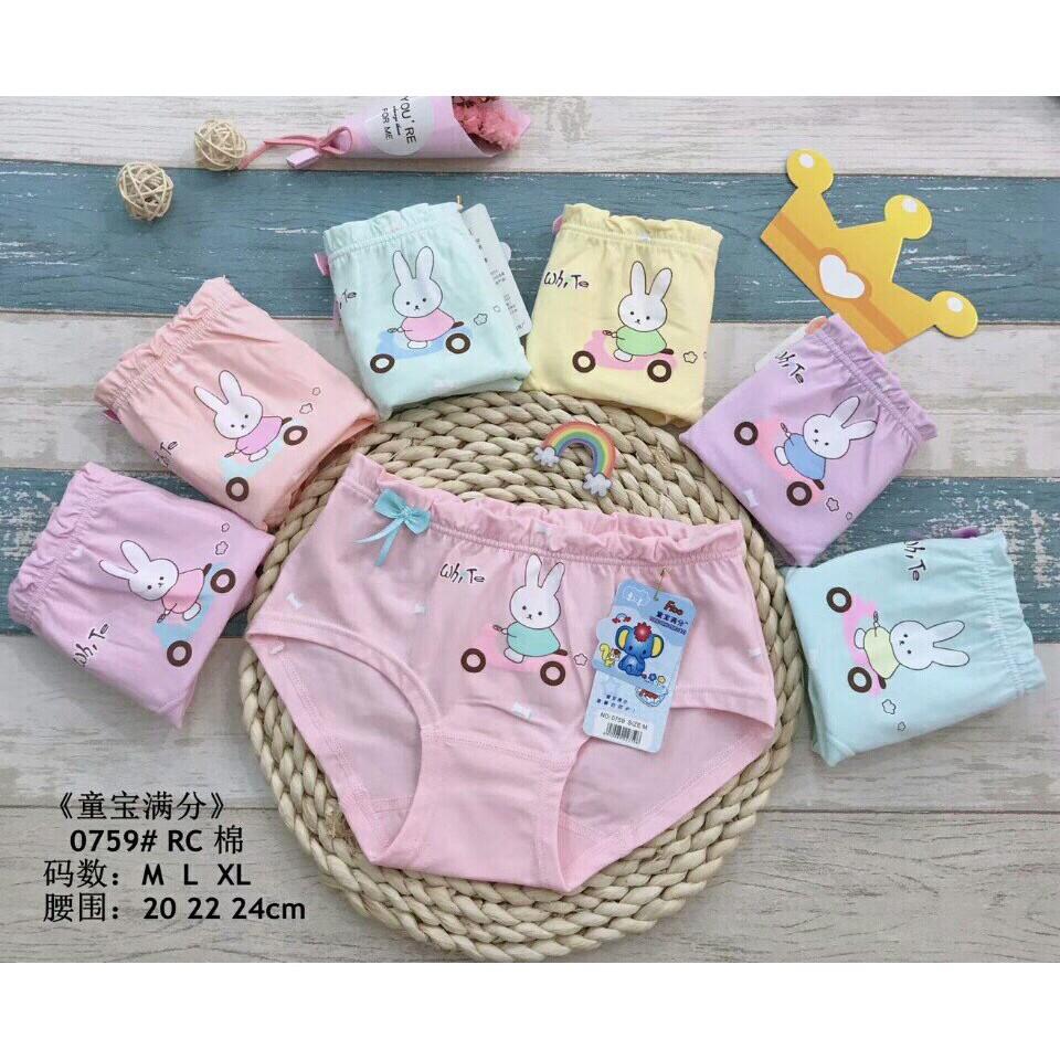 Combo 10 quần chip trẻ em hình thỏ  0759