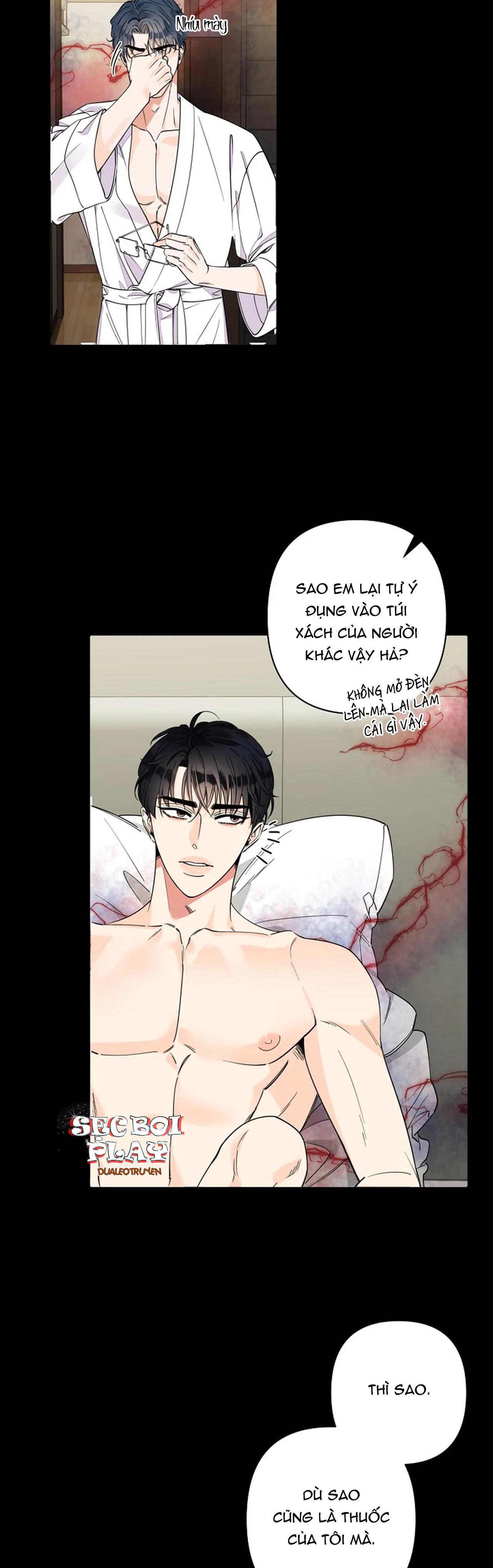 đêm dịu dàng chapter 1 24
