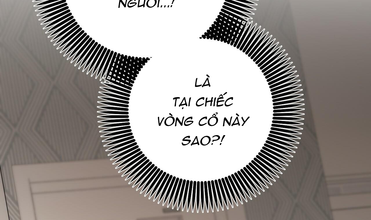 đàn thỏ của habibi chapter 45 166