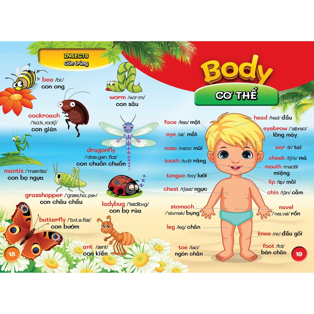 Từ Điển Bằng Hình Đầu Tiên Của Bé