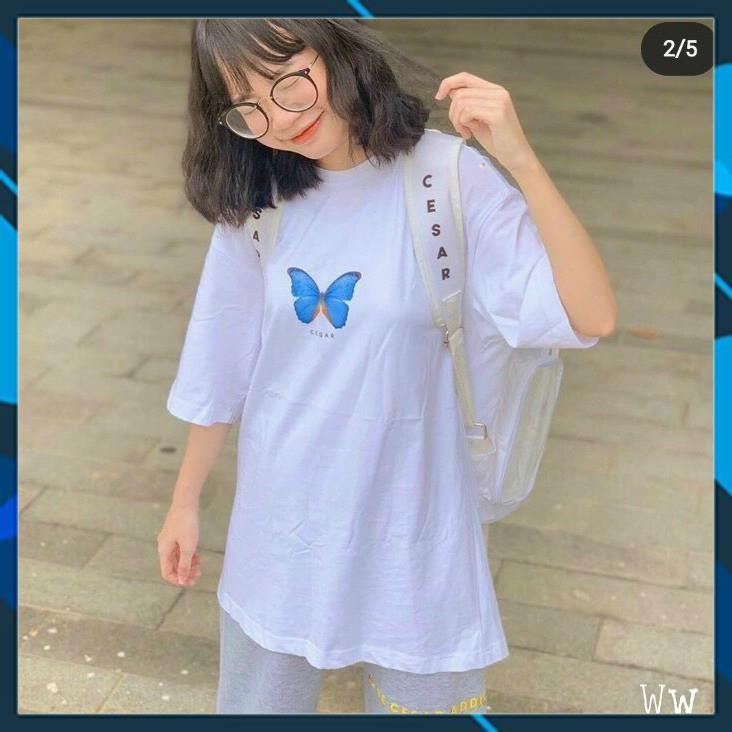 Hình ảnh Áo Thun unisex Tay lỡ form rộng phong cách Hàn Quốc cho nữ in hình bướm xanh Nữ