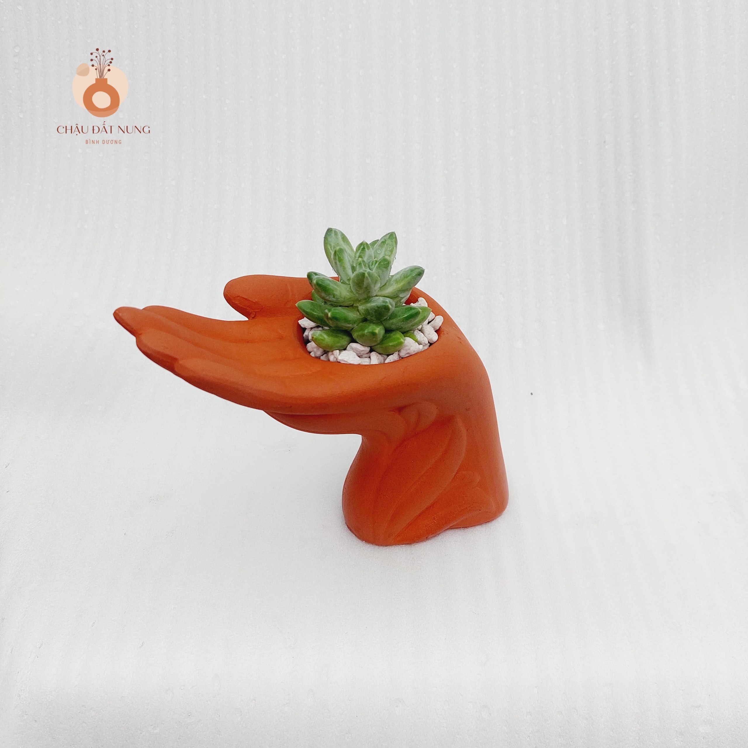Chậu đất nung Bình Dương - Bàn tay của người tôi yêu, miệng chậu 6cm, chiều cao 15cm