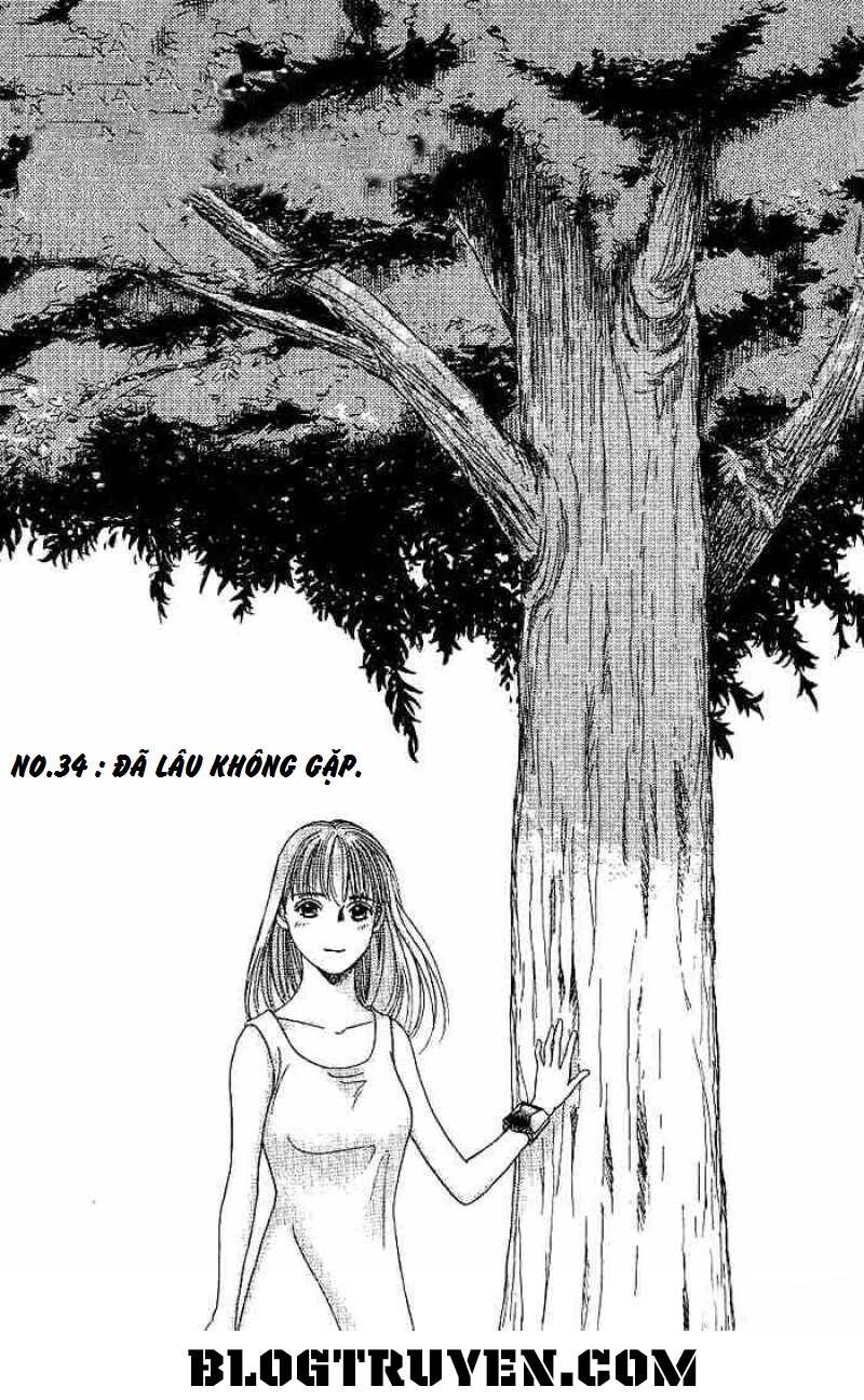 b-shock chapter 34 3