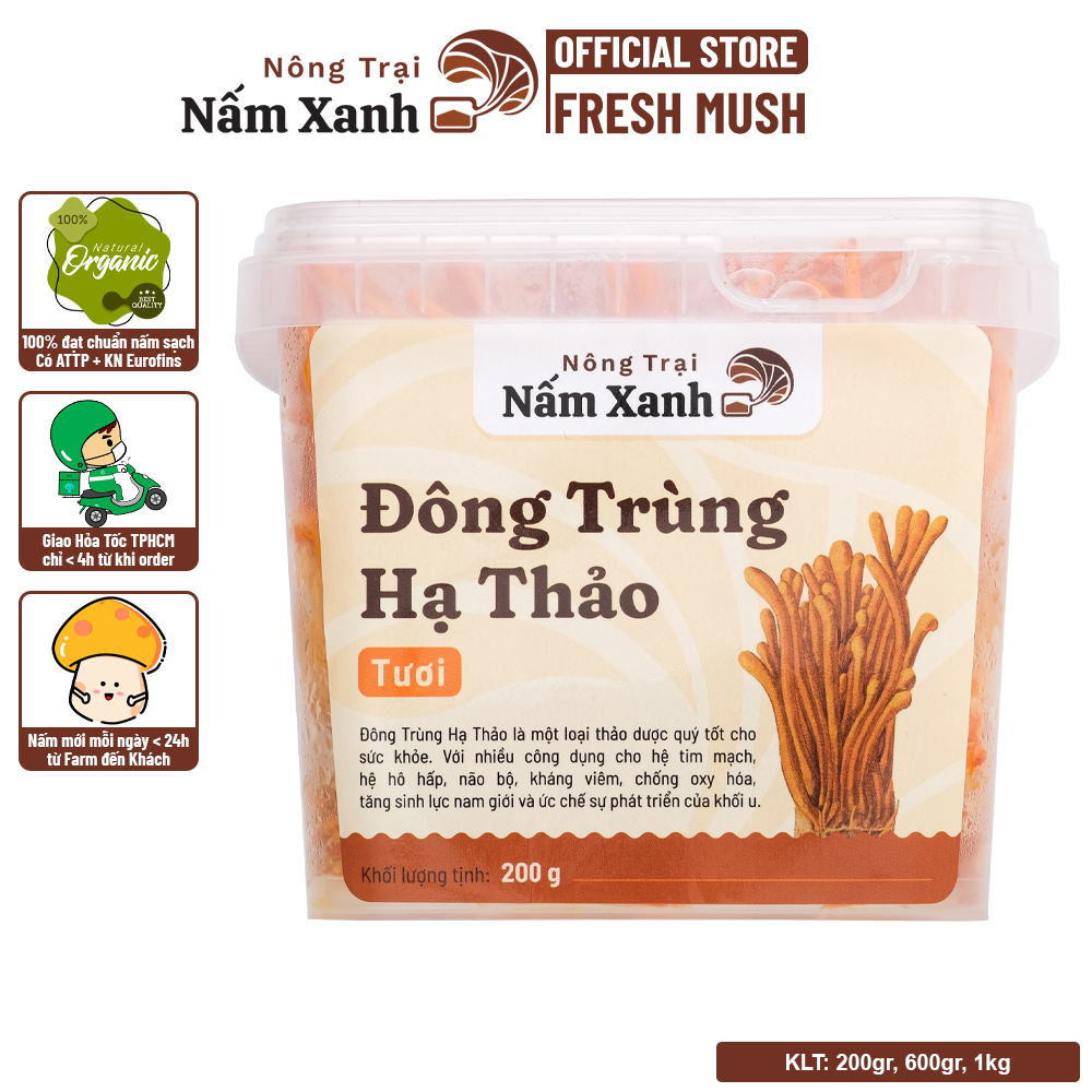 Đông Trùng Hạ Thảo Tươi 200gr - Nông Trại Nấm Xanh