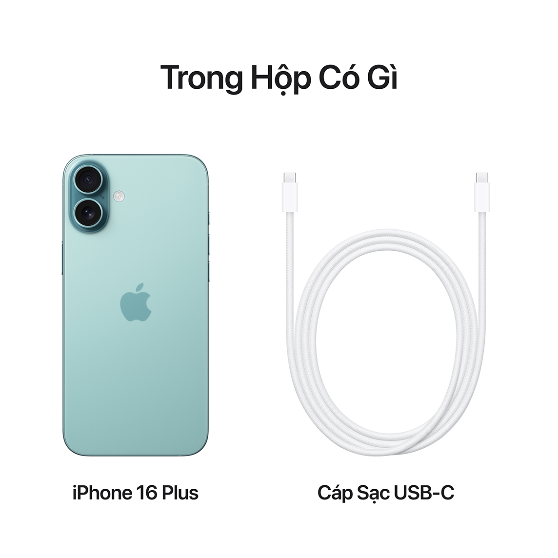 Apple iPhone 16 Plus