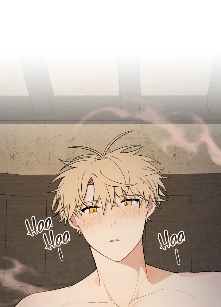 đường hoa liên kiều rơi chapter 16 63