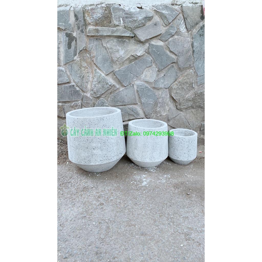 Bộ 3 Chậu Trồng Cây Chỉ Giao Hcm